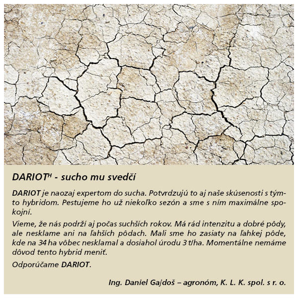 Názor Dariot
