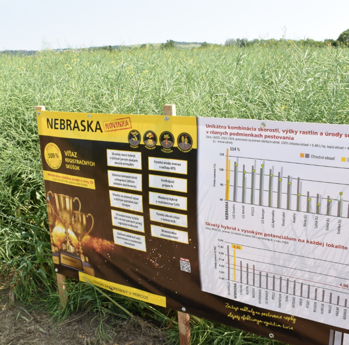 NEBRASKA  fotené 9.6..2025